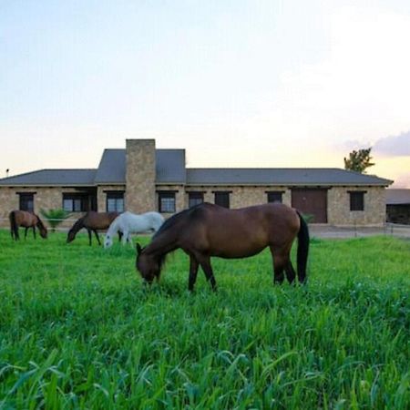 Casa Ecuestre Carmen Martinez Bed & Breakfast Fuente Palmera ภายนอก รูปภาพ